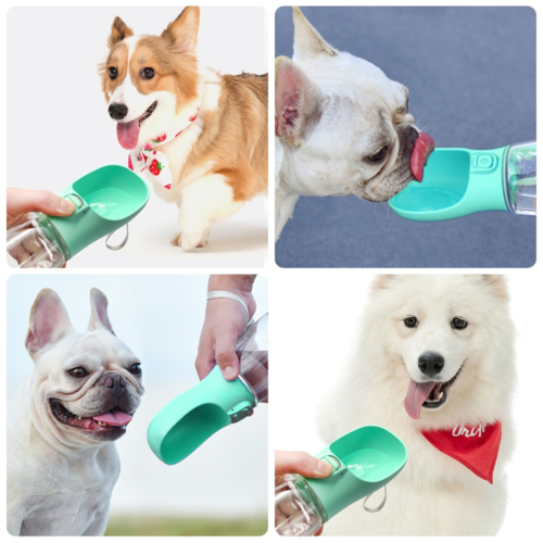 Seoul Kpop Store™: PawSip Portable Pet Water Bottle